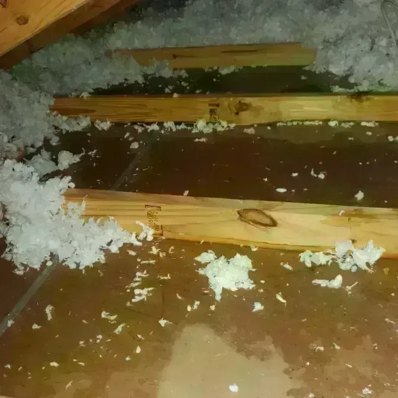 Attic Water Damage in Esther, MO