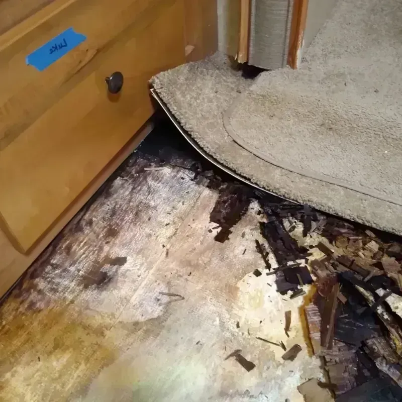 Wood Floor Water Damage in Esther, MO